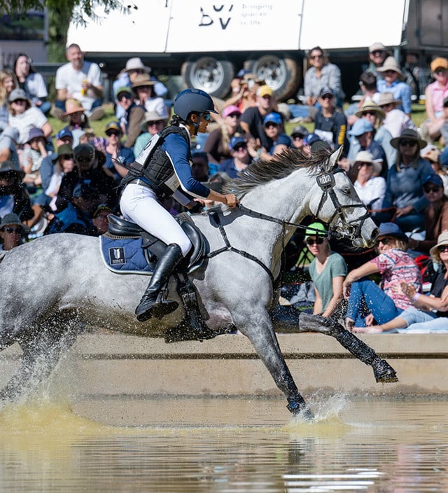 What's On In South Australia