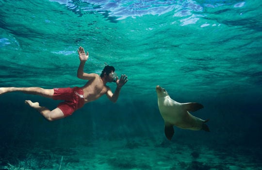 Baird Bay, Eyre Peninsula