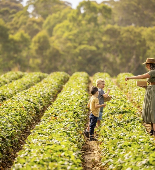 Kids And Family Activities In South Australia