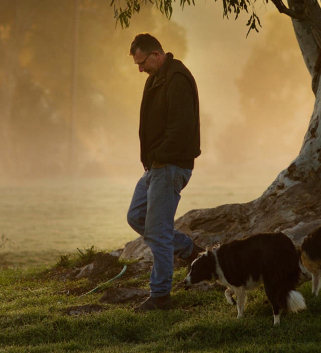 Pet Friendly Accommodation