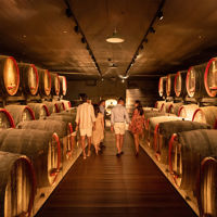 People walking through stacked barrels at Penfolds Magill Estate