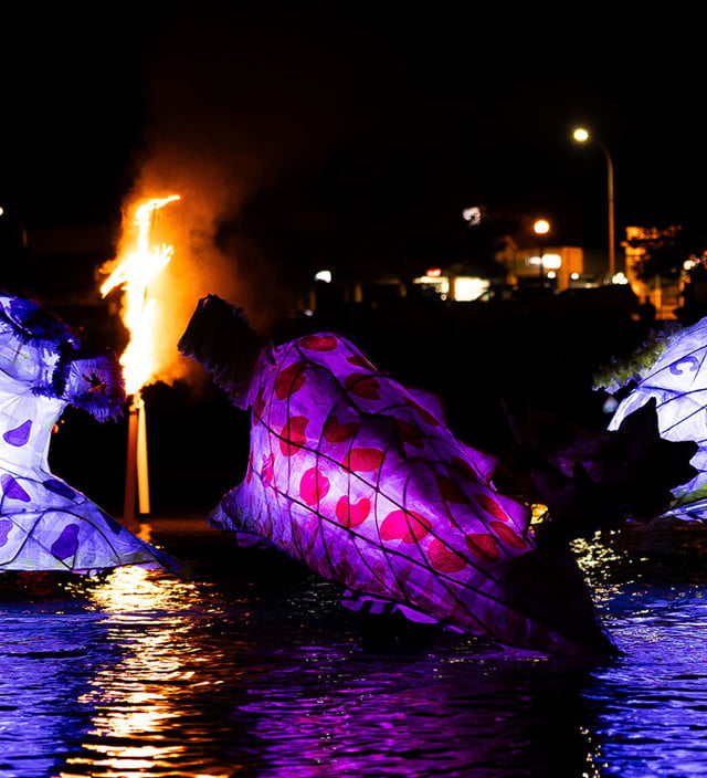 What's on this month