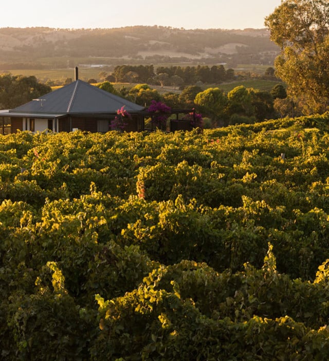 Accommodation in the Fleurieu Peninsula