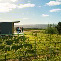 The Lane Vineyard tasting room perched atop rolling vines in the Adelaide Hills