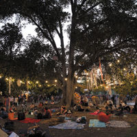 People seated on picnic rugs under a large tree at WOMADelaide