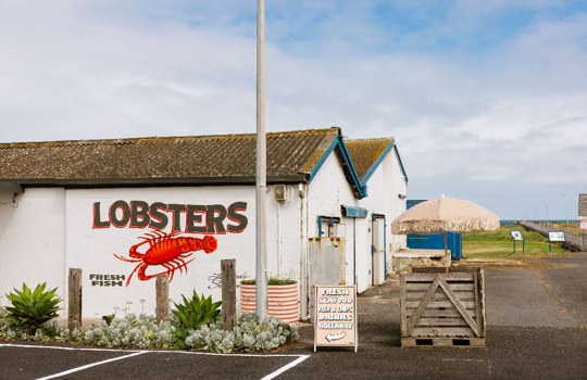 Fly Adelaide to Mount Gambier from $199^